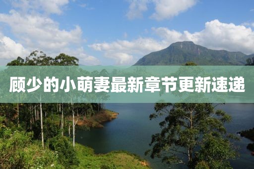 顧少的小萌妻最新章節(jié)更新速遞