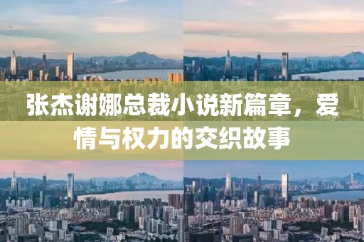 張杰謝娜總裁小說新篇章，愛情與權(quán)力的交織故事