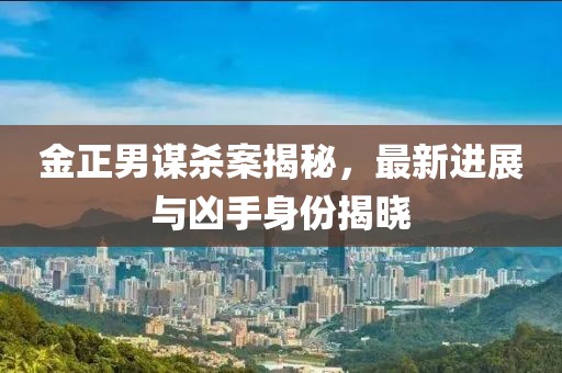 金正男謀殺案揭秘，最新進(jìn)展與兇手身份揭曉