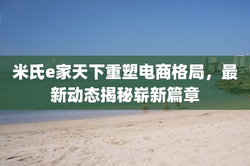 米氏e家天下重塑電商格局，最新動(dòng)態(tài)揭秘嶄新篇章