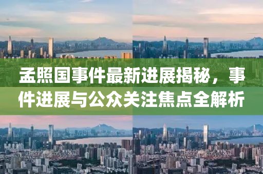 孟照國(guó)事件最新進(jìn)展揭秘，事件進(jìn)展與公眾關(guān)注焦點(diǎn)全解析