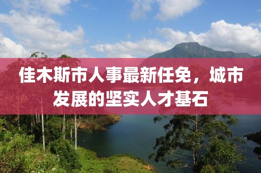 佳木斯市人事最新任免，城市發(fā)展的堅實人才基石