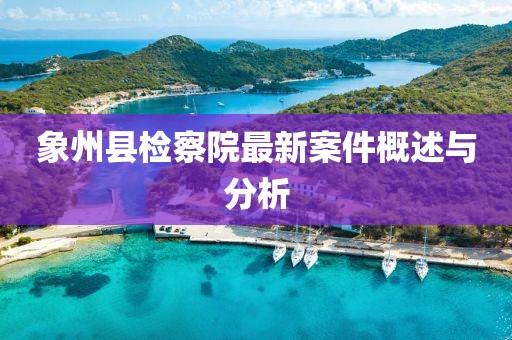 象州縣檢察院最新案件概述與分析