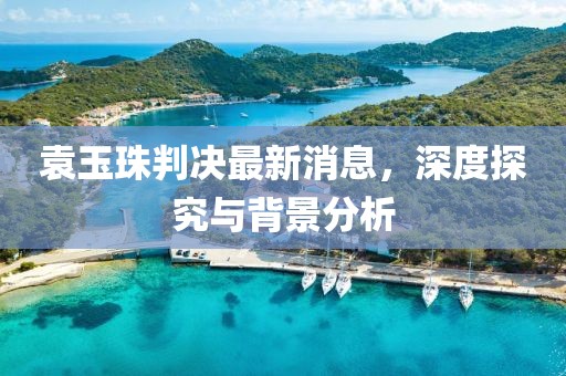 袁玉珠判決最新消息，深度探究與背景分析