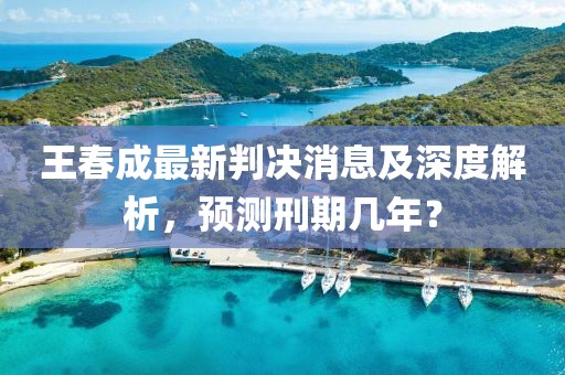 王春成最新判決消息及深度解析，預(yù)測刑期幾年？