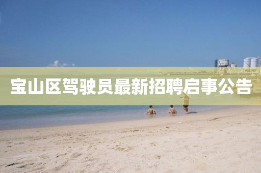 寶山區(qū)駕駛員最新招聘啟事公告