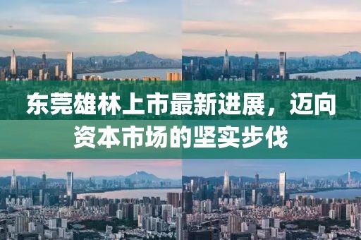 東莞雄林上市最新進(jìn)展，邁向資本市場(chǎng)的堅(jiān)實(shí)步伐
