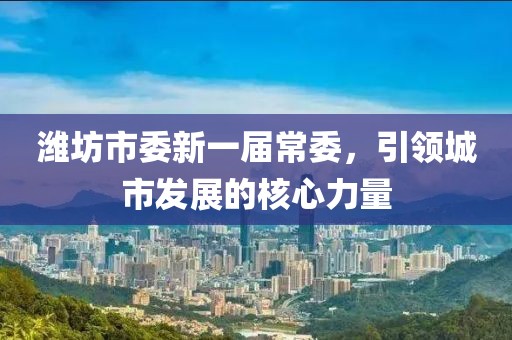 濰坊市委新一屆常委，引領城市發(fā)展的核心力量
