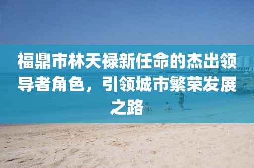 福鼎市林天祿新任命的杰出領導者角色，引領城市繁榮發(fā)展之路