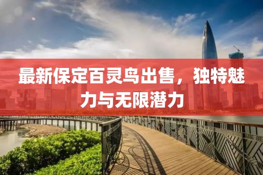 最新保定百靈鳥出售，獨(dú)特魅力與無限潛力