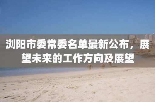 瀏陽市委常委名單最新公布，展望未來的工作方向及展望