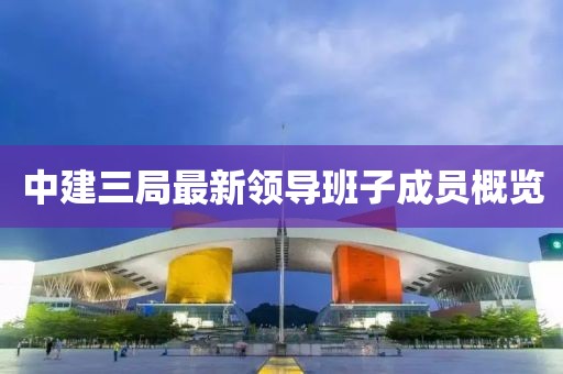 中建三局最新領(lǐng)導(dǎo)班子成員概覽