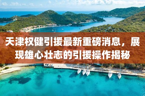 天津權(quán)健引援最新重磅消息，展現(xiàn)雄心壯志的引援操作揭秘
