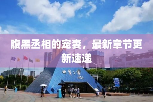 腹黑丞相的寵妻，最新章節(jié)更新速遞