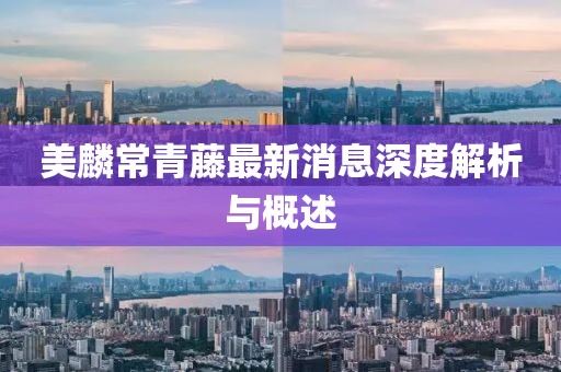 美麟常青藤最新消息深度解析與概述