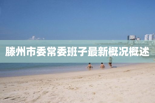 滕州市委常委班子最新概況概述