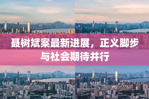 聶樹(shù)斌案最新進(jìn)展，正義腳步與社會(huì)期待并行