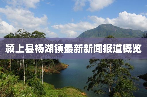 潁上縣楊湖鎮(zhèn)最新新聞報道概覽