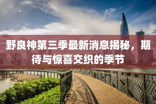 野良神第三季最新消息揭秘，期待與驚喜交織的季節(jié)