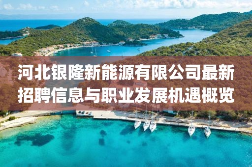 河北銀隆新能源有限公司最新招聘信息與職業(yè)發(fā)展機(jī)遇概覽