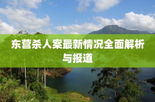 東營(yíng)殺人案最新情況全面解析與報(bào)道