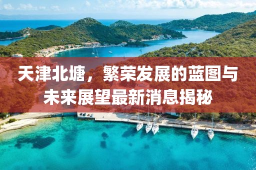 天津北塘，繁榮發(fā)展的藍(lán)圖與未來展望最新消息揭秘