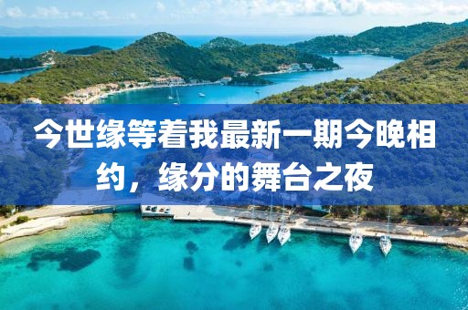 今世緣等著我最新一期今晚相約，緣分的舞臺之夜