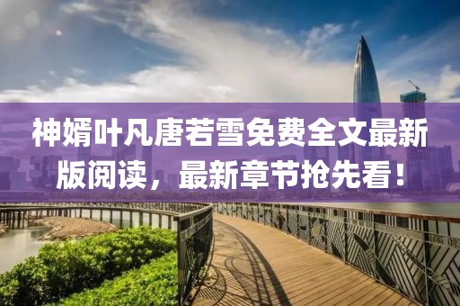 神婿葉凡唐若雪免費(fèi)全文最新版閱讀，最新章節(jié)搶先看！