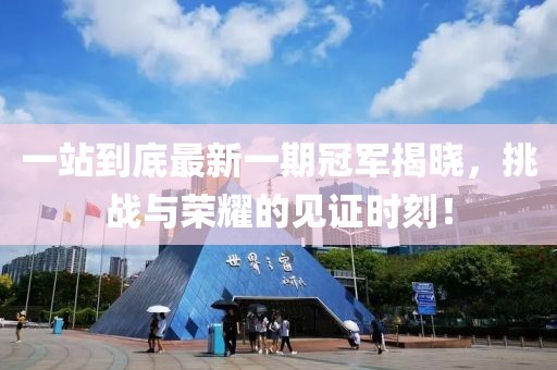 一站到底最新一期冠軍揭曉，挑戰(zhàn)與榮耀的見證時刻！