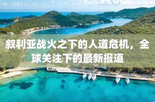 敘利亞戰(zhàn)火之下的人道危機(jī)，全球關(guān)注下的最新報(bào)道