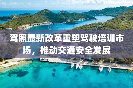駕照最新改革重塑駕駛培訓市場，推動交通安全發(fā)展