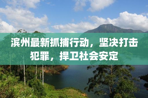 濱州最新抓捕行動(dòng)，堅(jiān)決打擊犯罪，捍衛(wèi)社會(huì)安定