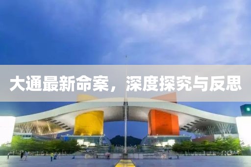 大通最新命案，深度探究與反思