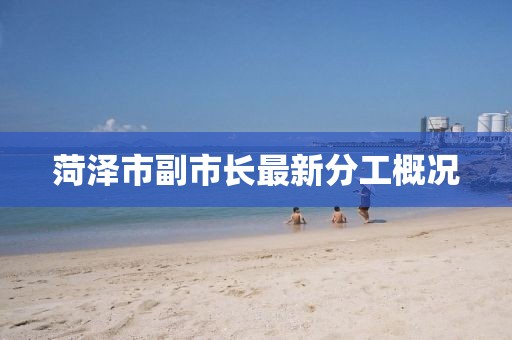 菏澤市副市長最新分工概況