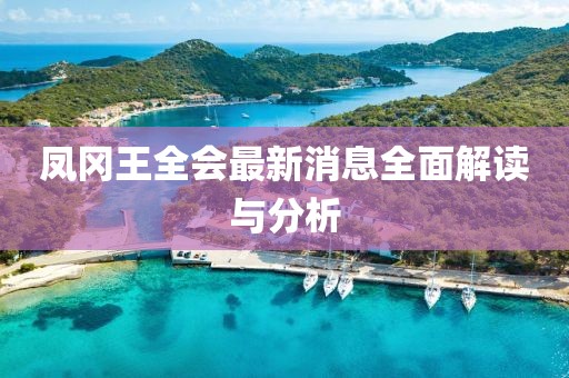 鳳岡王全會最新消息全面解讀與分析