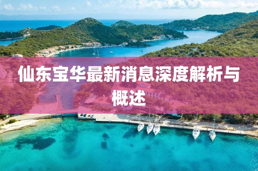 仙東寶華最新消息深度解析與概述