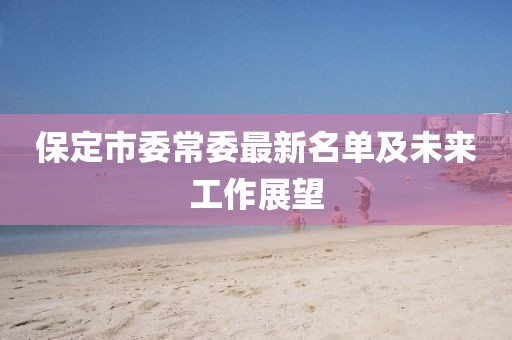 保定市委常委最新名單及未來工作展望