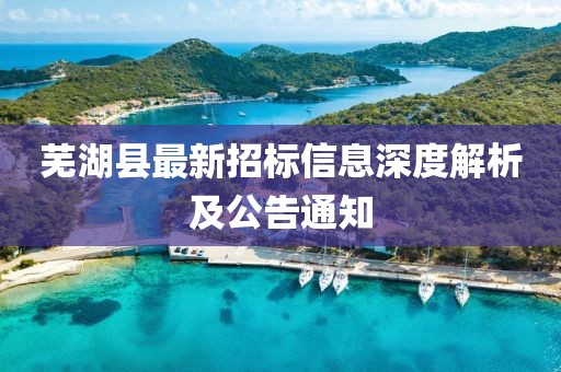 蕪湖縣最新招標(biāo)信息深度解析及公告通知