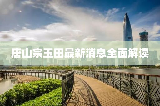 唐山宗玉田最新消息全面解讀
