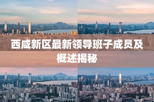 西咸新區(qū)最新領導班子成員及概述揭秘