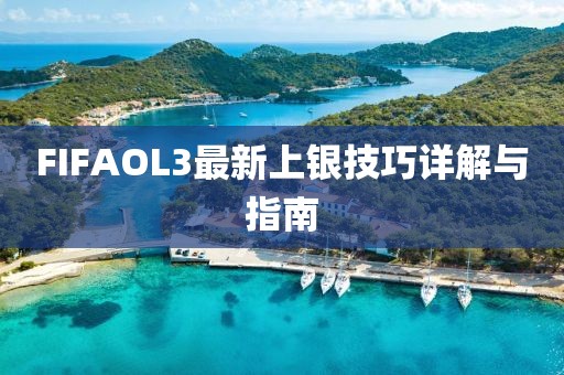 FIFAOL3最新上銀技巧詳解與指南