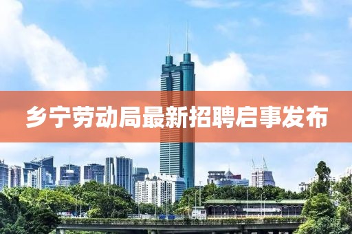 鄉(xiāng)寧勞動(dòng)局最新招聘啟事發(fā)布