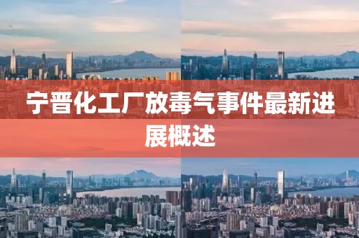 寧晉化工廠放毒氣事件最新進(jìn)展概述