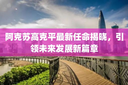 只剩驕傲 第26頁