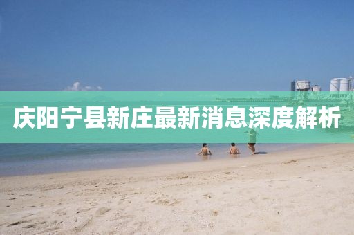 慶陽寧縣新莊最新消息深度解析
