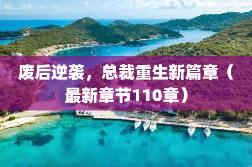 廢后逆襲，總裁重生新篇章（最新章節(jié)110章）