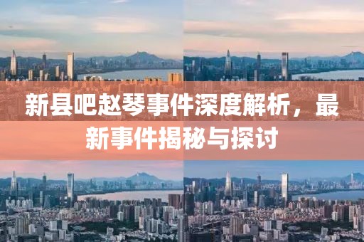 新縣吧趙琴事件深度解析，最新事件揭秘與探討
