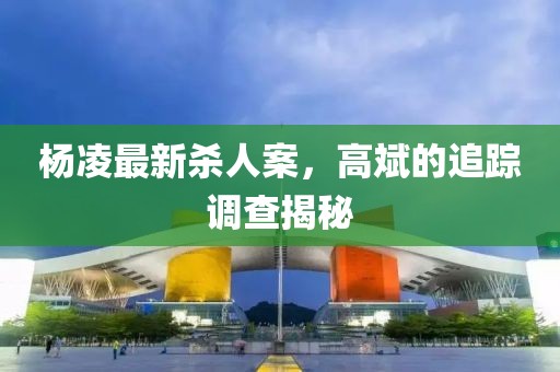 楊凌最新殺人案，高斌的追蹤調(diào)查揭秘