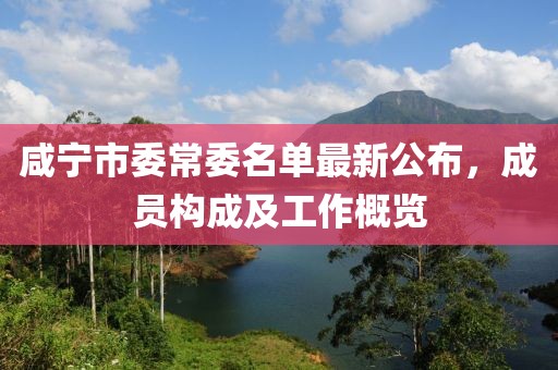 咸寧市委常委名單最新公布，成員構(gòu)成及工作概覽
