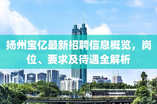 揚(yáng)州寶億最新招聘信息概覽，崗位、要求及待遇全解析
